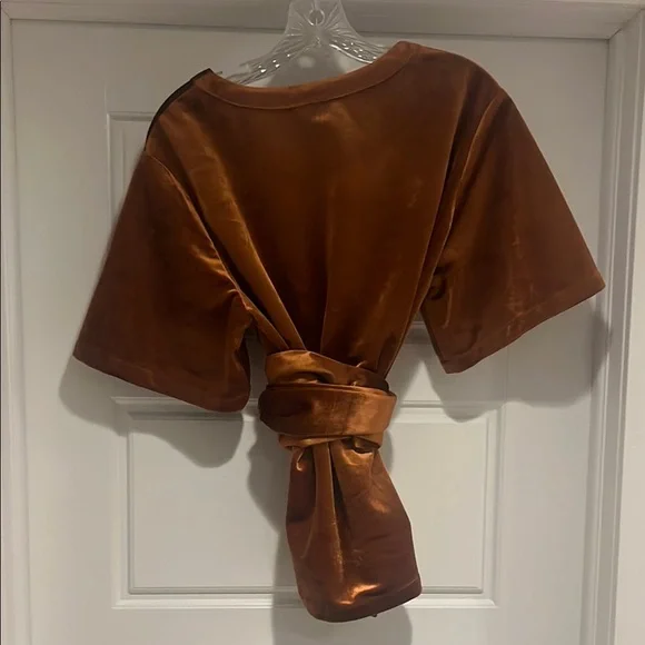 Brown Velvet Short Sleeve Top with Belt - Picture 4 of 6